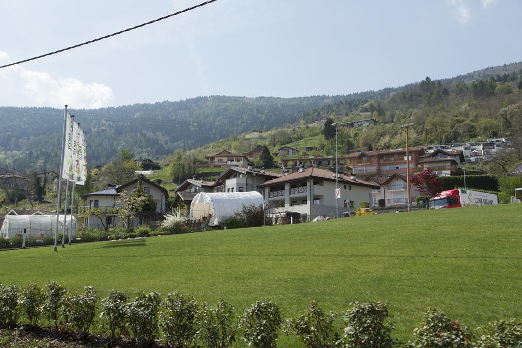 La Terrazza Sul Lago Pergine Valsugana Buitenkant foto